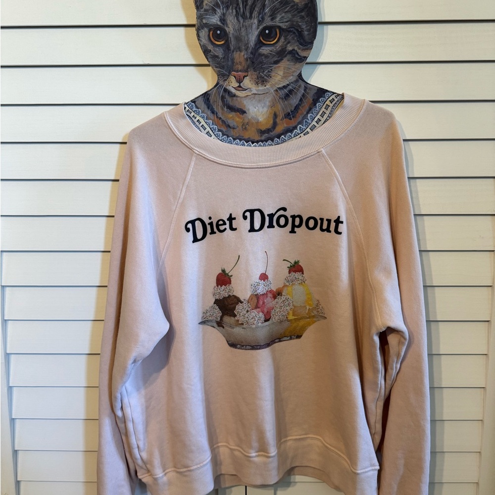 Wildfox Light Pink Sweatshirt